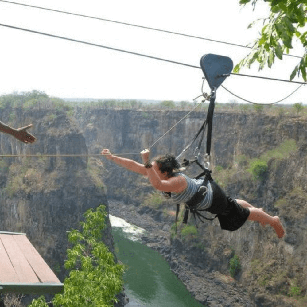 Flying Fox - Solo 1 Flying Fox - Solo